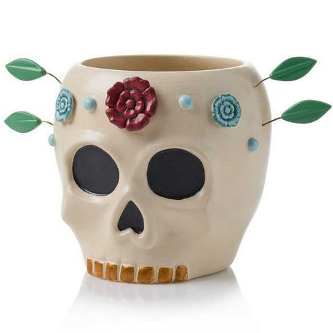 SKULL PLANTER FLORACION